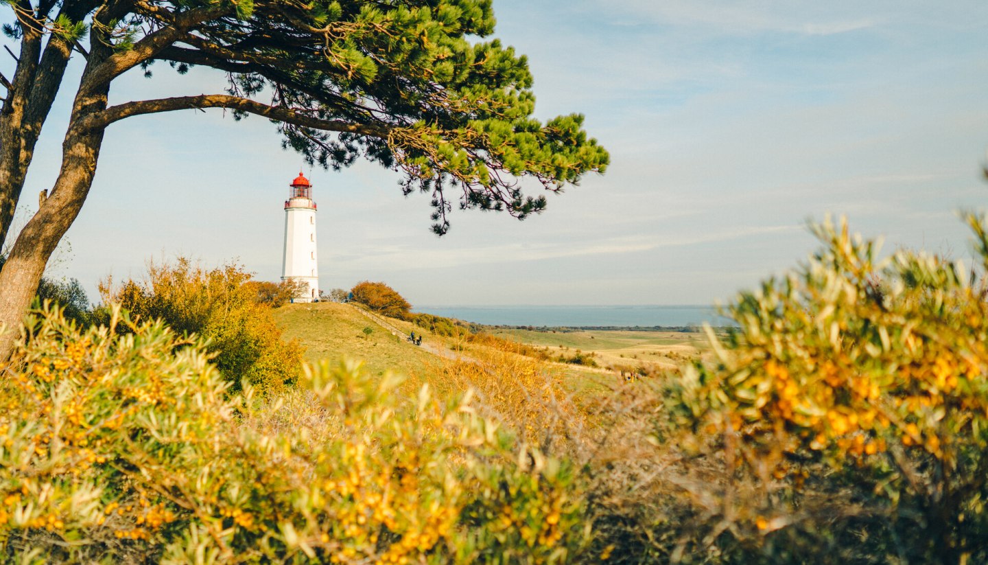 A postcard motif par excellence: the Dornbusch lighthouse is the landmark of the island of Hiddensee., © TMV/Petermann