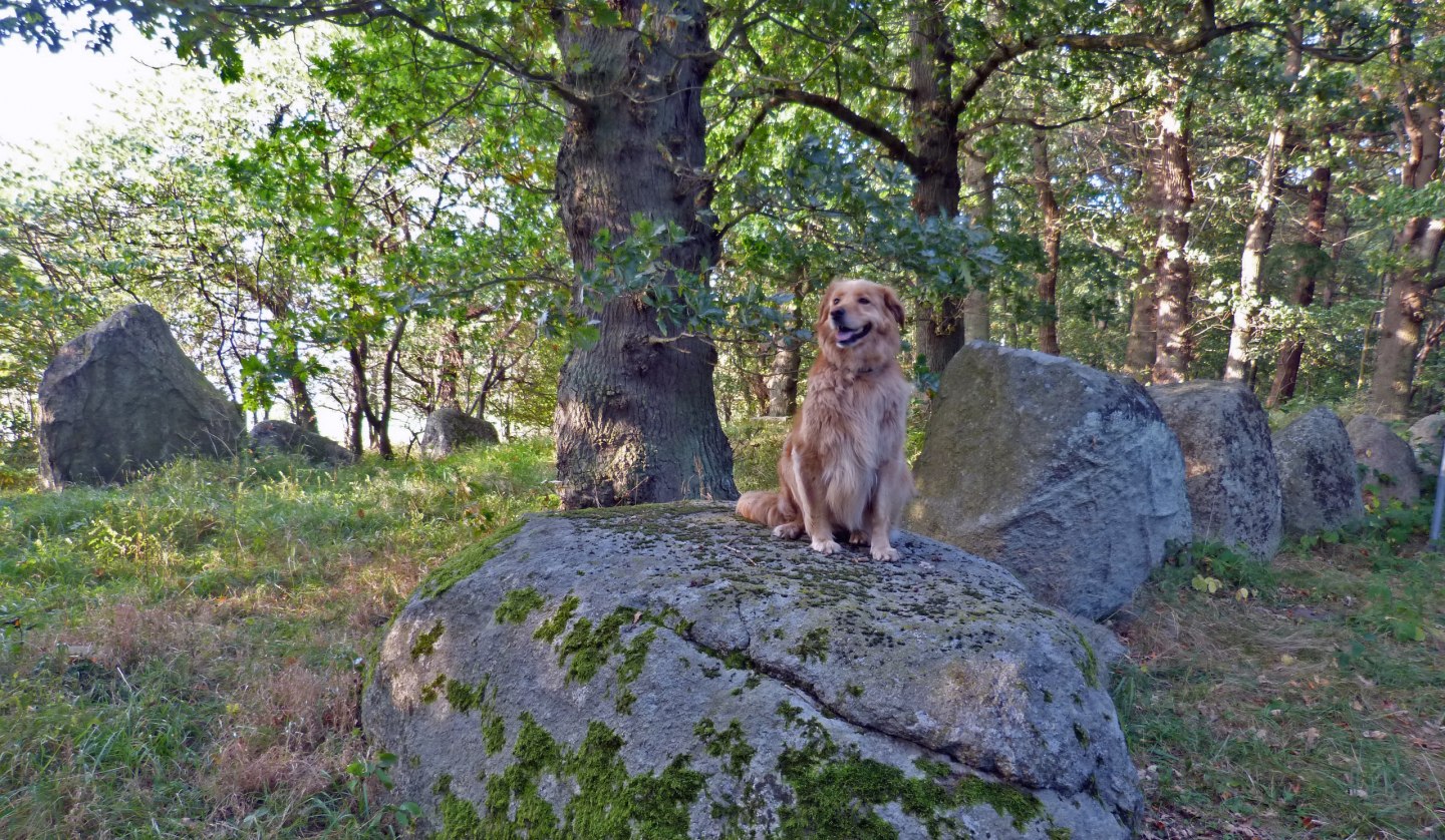 GSG Dwasieden w. Cora - Staude Kati, © Dr. Katrin Staude