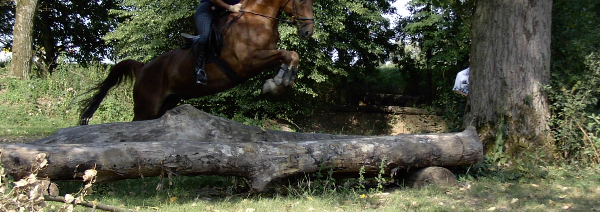 Equestrian center Sabine Bender, © Sabine Bender