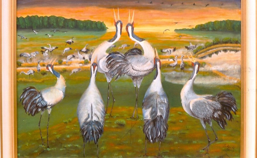 Dance of the cranes - oil painting in size 100 x 80 cm, it shows the favorite dance of the cranes and was completed by me this year., © Eckhardt Erbguth