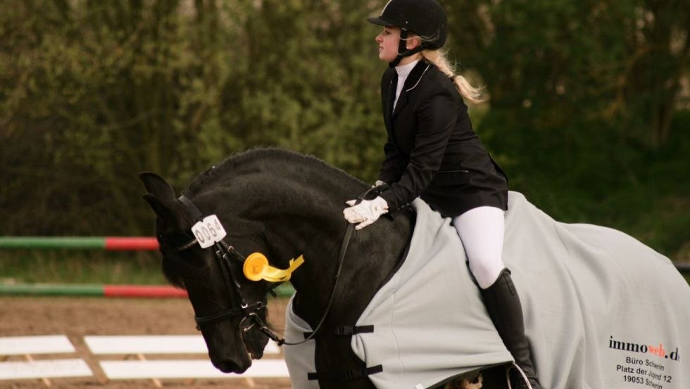 At the Reiverein Hubertus in Raben Steinfeld in the Schwerin area you can learn horseback riding or experience a carriage ride, © Reitverein Hubertus/ Patrick Kort