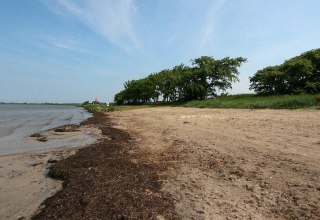 Schaproder Bodden, © surflocal.de