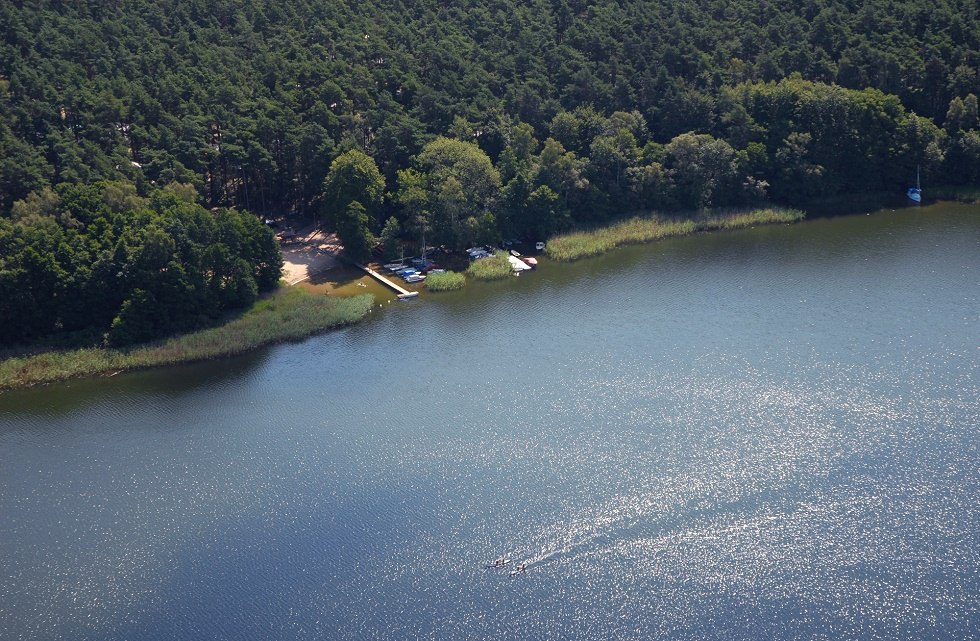 The campsite is located in the sparse pine forest - directly at the Leppinsee., © Haveltourist