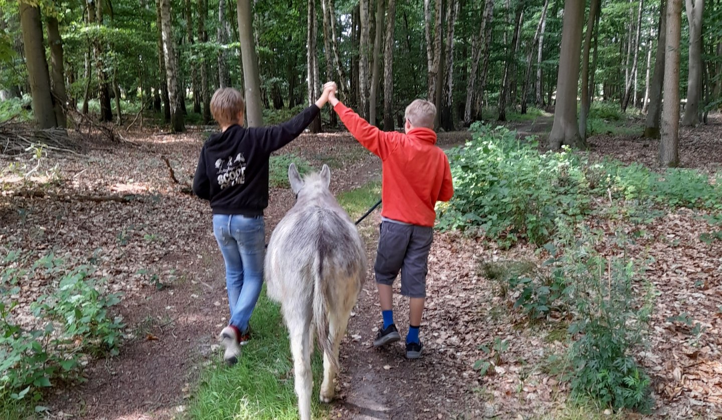 A walk at a leisurely donkey pace can be a great experience for the whole family. Donkeys are level-headed and sensitive animals that like to go on walks with human company., © Andrea Hauser