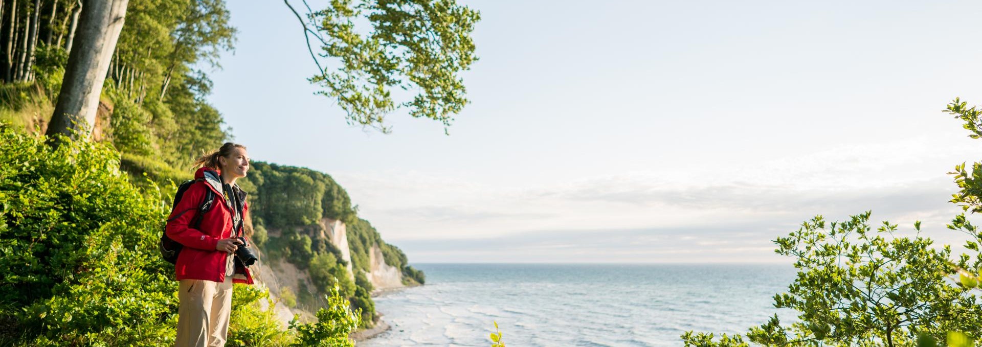 Wild and fascinating: the imposing chalk cliffs, a timeless symbol of the Island of Rügen., © TMV/Roth