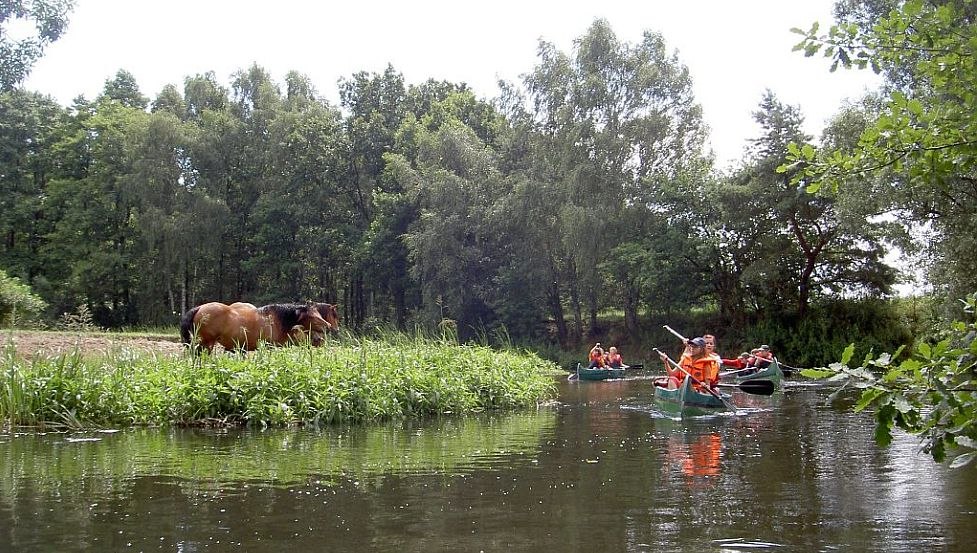 Natural idyll on the Old Elde, © Lewitzcamp Garwitz