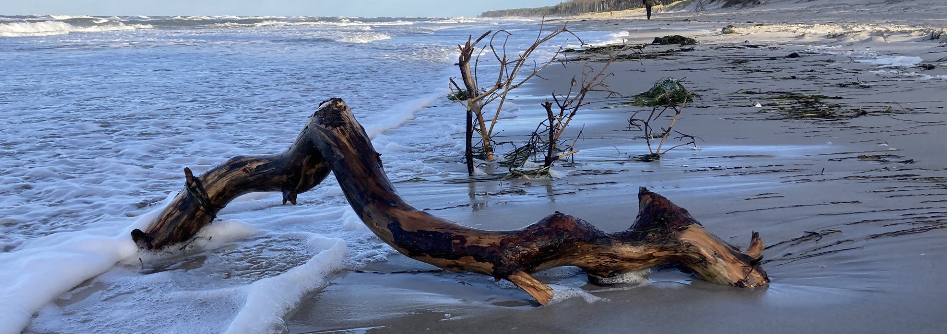 West Beach, © K. Baerwald