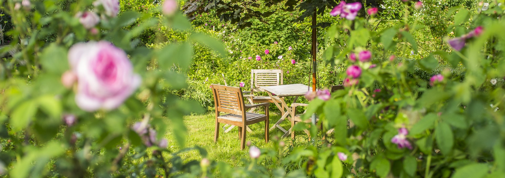 In the rose garden of the manor house Altbauhof, © Gutshaus Altbauhof / Tim Kellner