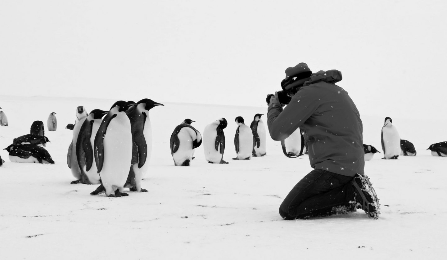 Nature Film Night: Expedition Wild, © Cedric Gentil