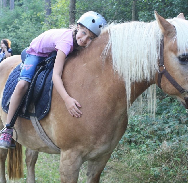 For the little ones our ponies are the greatest - calm in handling, reliable and safe on the terrain., © Waldhof Bruchmühle