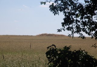 The tumulus in the cornfield is visible from far away., © Gabriele Skorupski