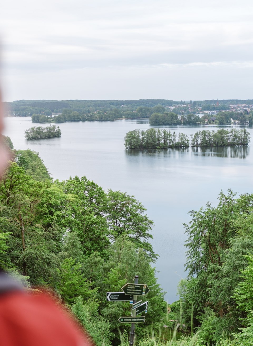 The view over the Feldberg lake landscape is enchanting - and with a bit of luck you might spot one of the white-tailed eagles that have resettled here!, © TMV/Gross