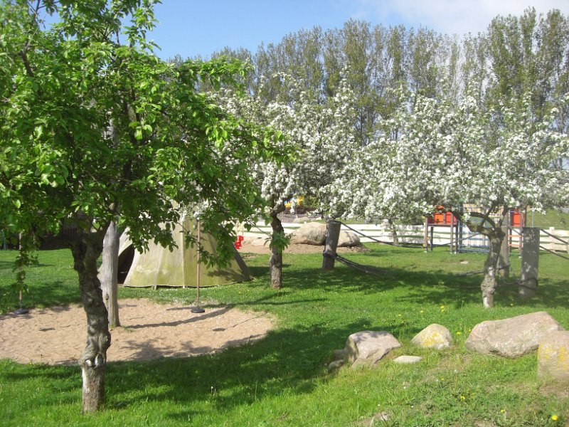 Spring at the donkey farm, © Eselhof Schlage