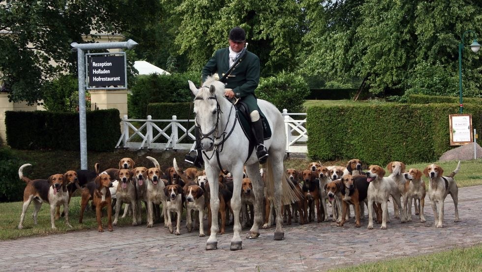 Mecklenburg pack at dog training on Wednesdays and Sundays at the vacation estate Dalwitz, © Mecklenburger ParkLand