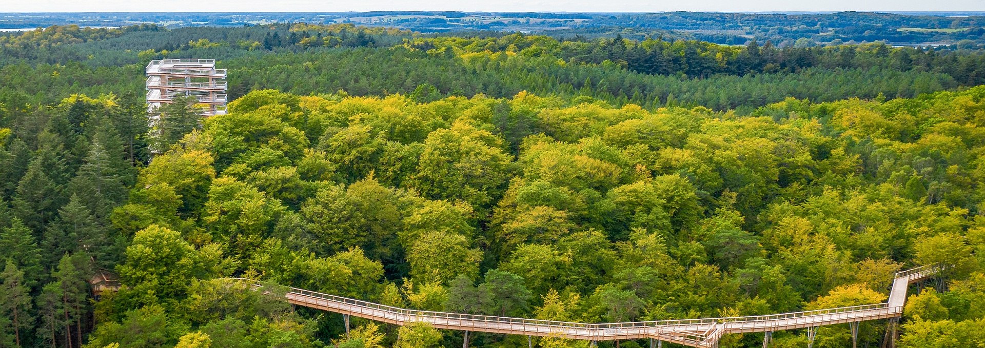 The treetop trail consists of a wooden walkway that winds through the treetops and a 33-meter-high observation tower., © Erlebnis Akademie AG/Baumwipfelpfad Usedom