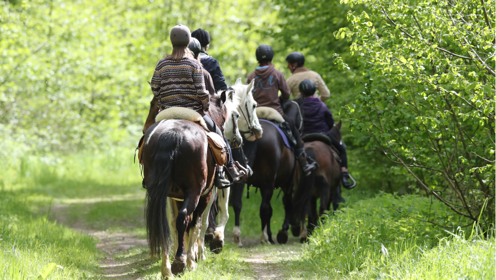 Horse riding in Demminer Land, © ACP