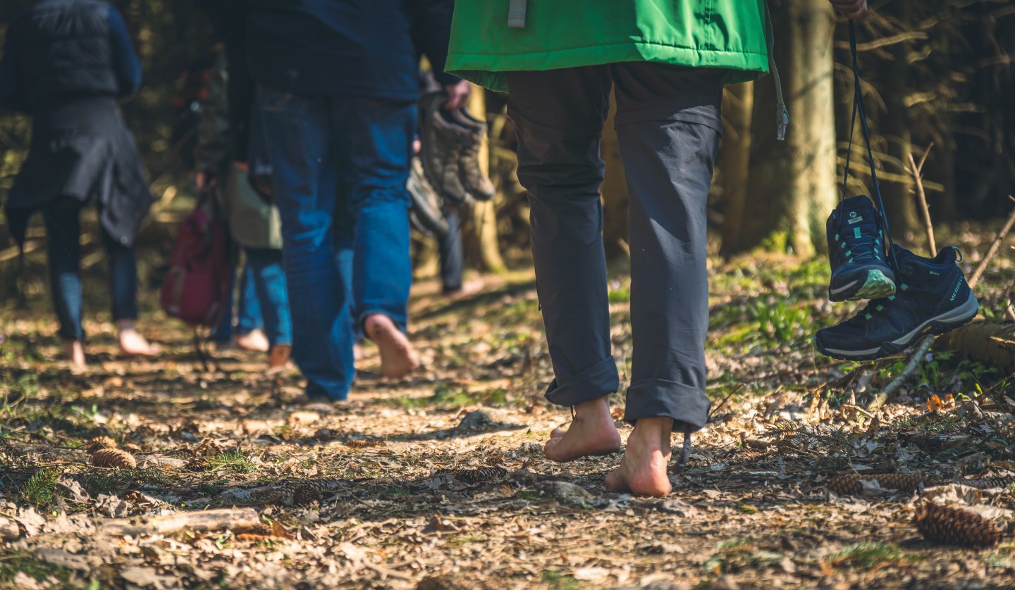 Forest bathing Putbus-Goor2 - Photo M.Boy, © Foto M.Boy