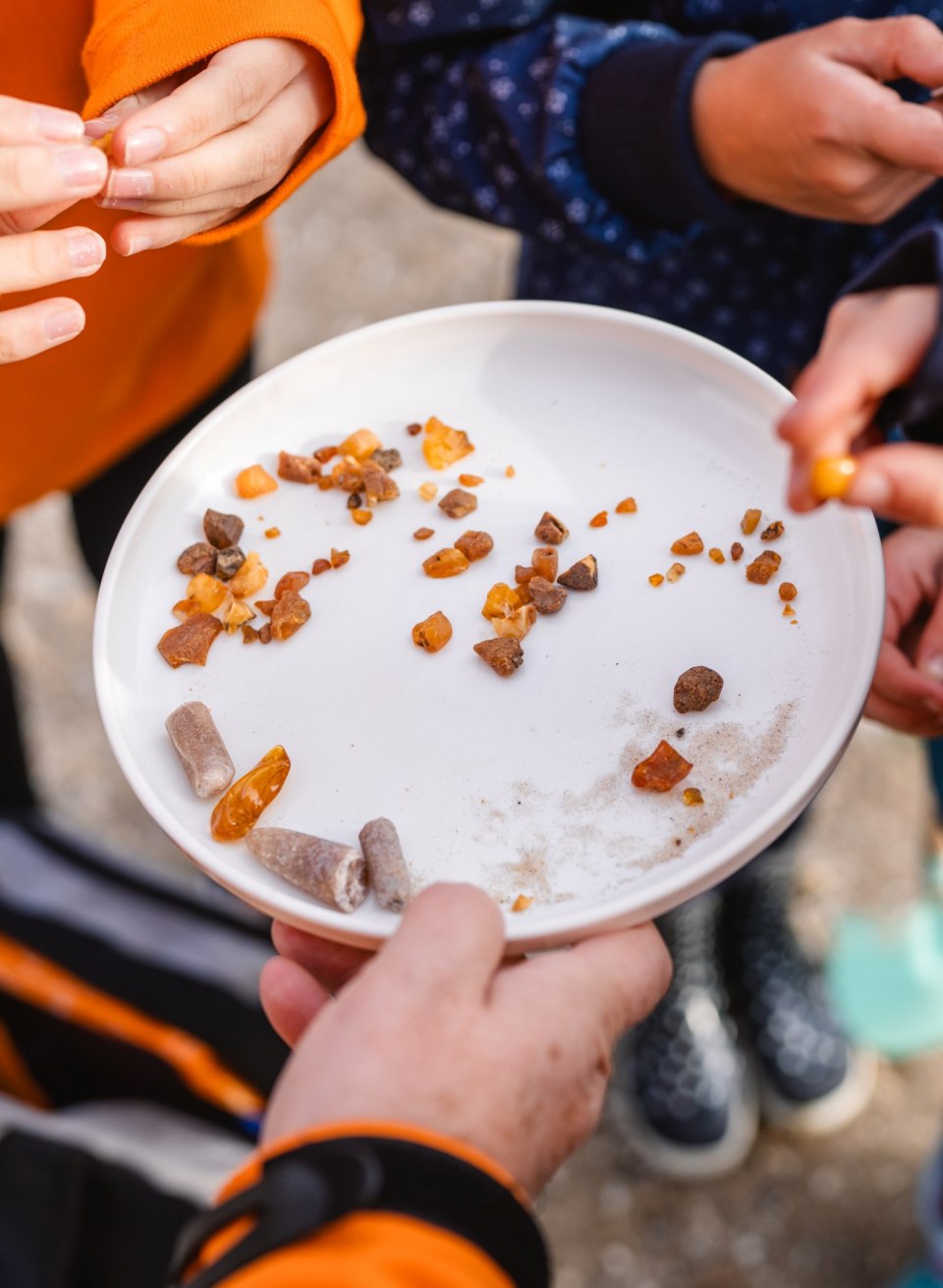 Close-up of a white plate with small amber and stones being examined by children and an adult.