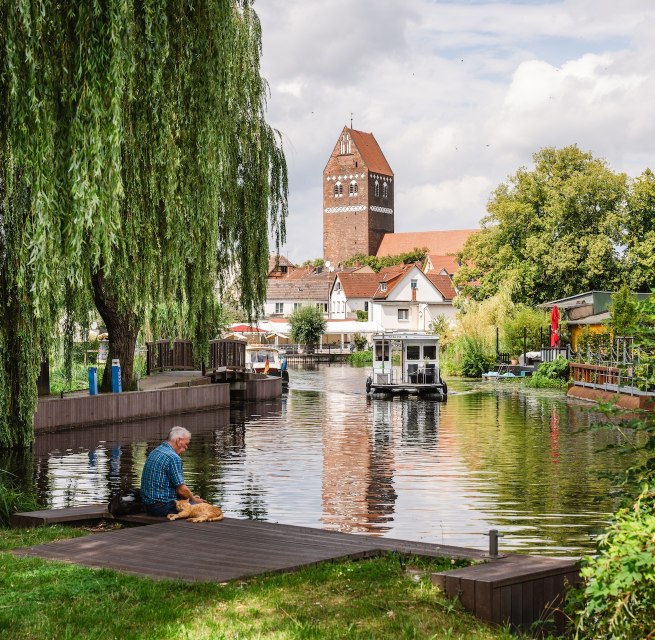 A man sits with his dog on the banks of a river in the center of Parchim, surrounded by willow trees and traditional houses in the background.