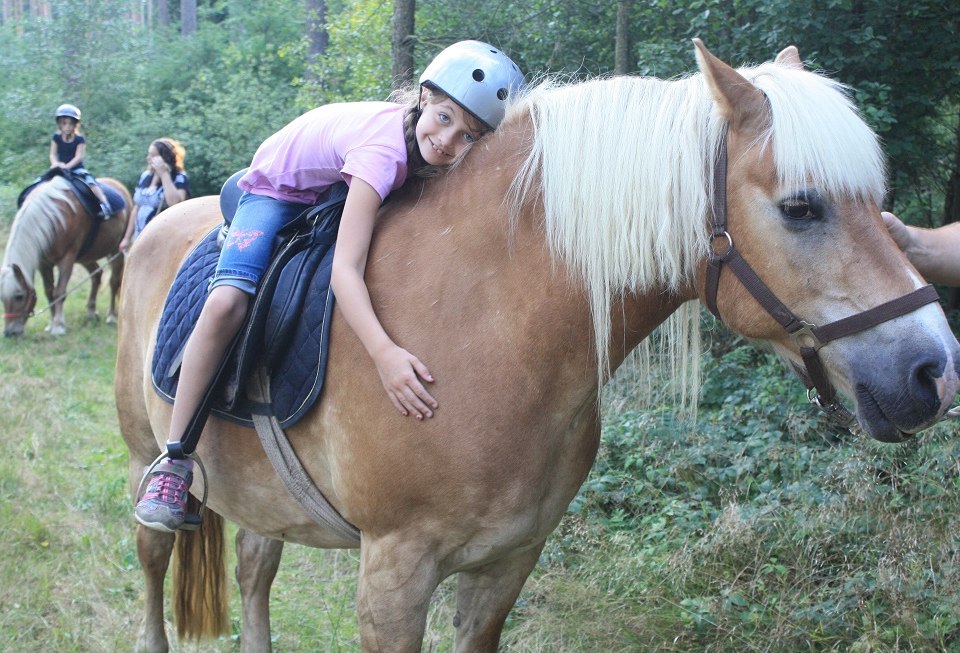 For the little ones our ponies are the greatest - calm in handling, reliable and safe on the terrain., © Waldhof Bruchmühle