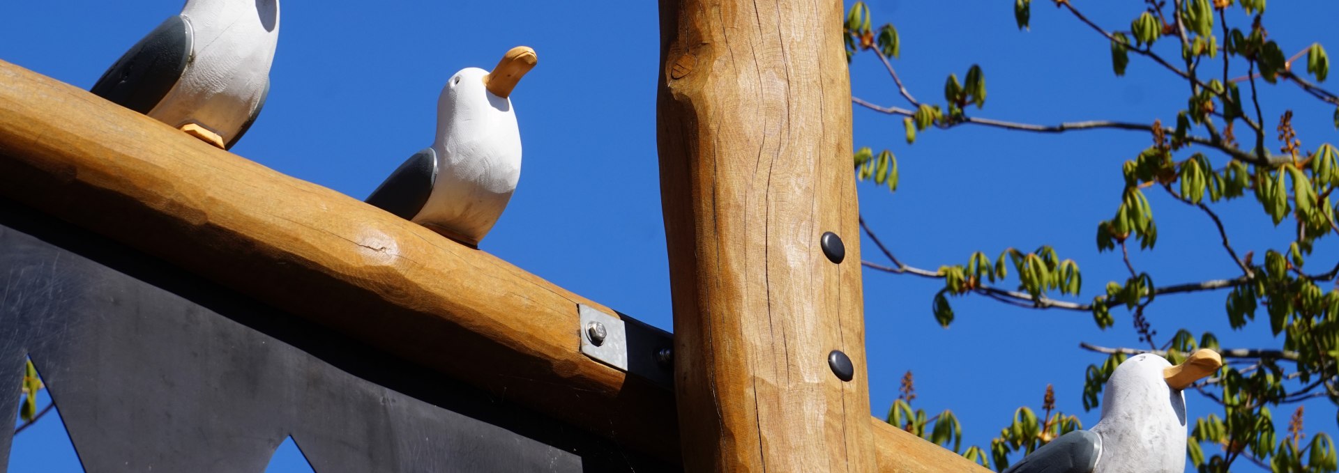 The trio of seagulls watches over the little pirates., © Cindy Wohlrab / KVW Wustrow