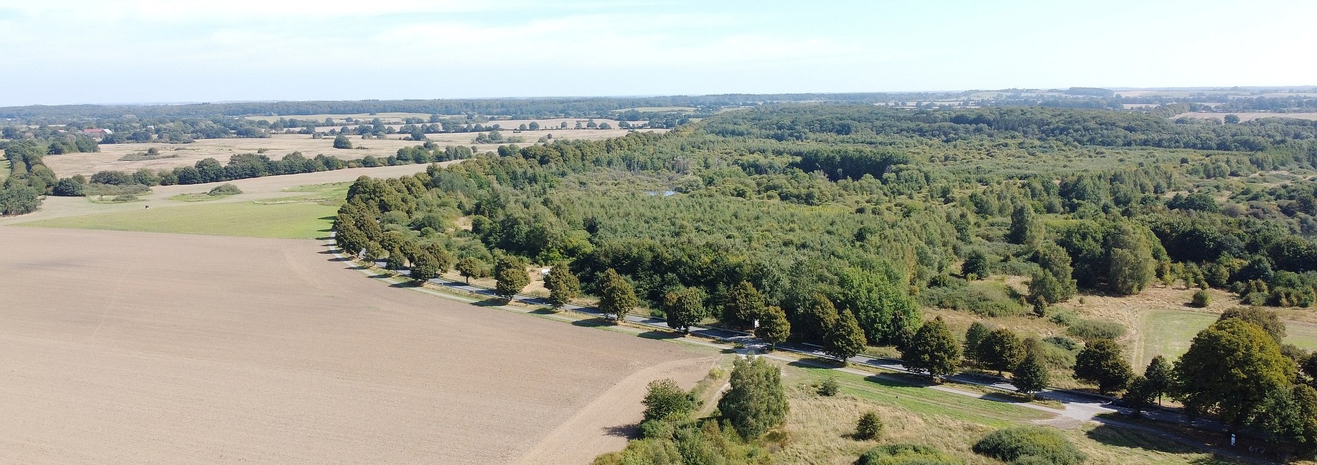 Climate Forest Biosphere Reserve Schaalsee, © Landesforst MV