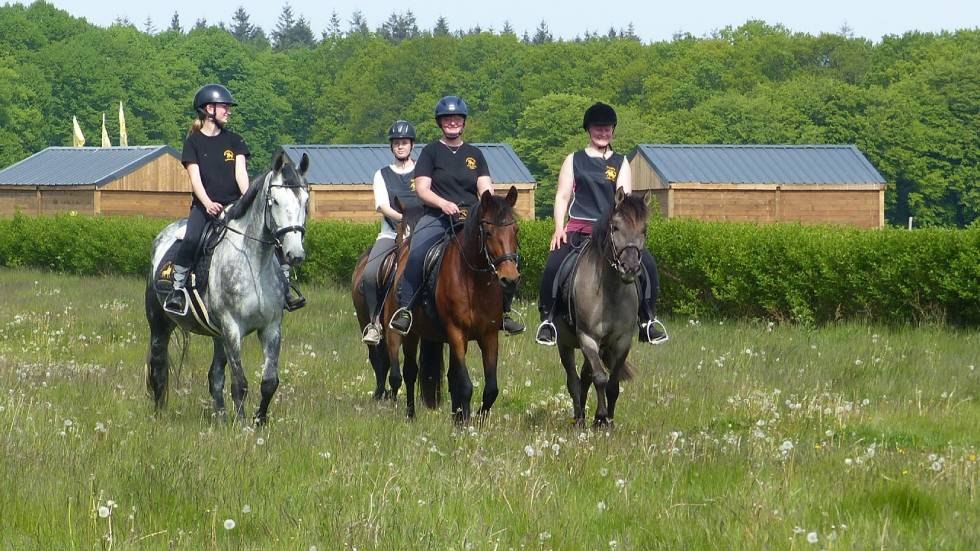 Quiet racecourse ride at the racecourse in Bad Doberan, © Bernsteinreiter