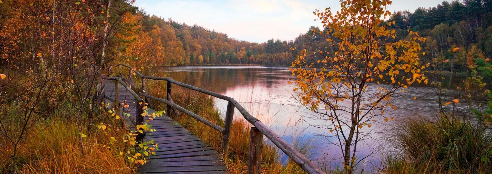 Wooden boardwalk in the Müritz National Park, © TMV/Allrich