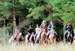 Experience great rides through the Lewitz with the Mühlenberg riding facility, © Reitanlage Mühlenberg/ Mario Mühlenberg