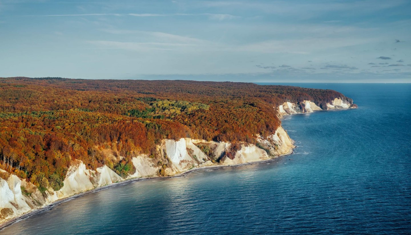 Chalk cliffs in Jasmund National Park at sunrise in the fall