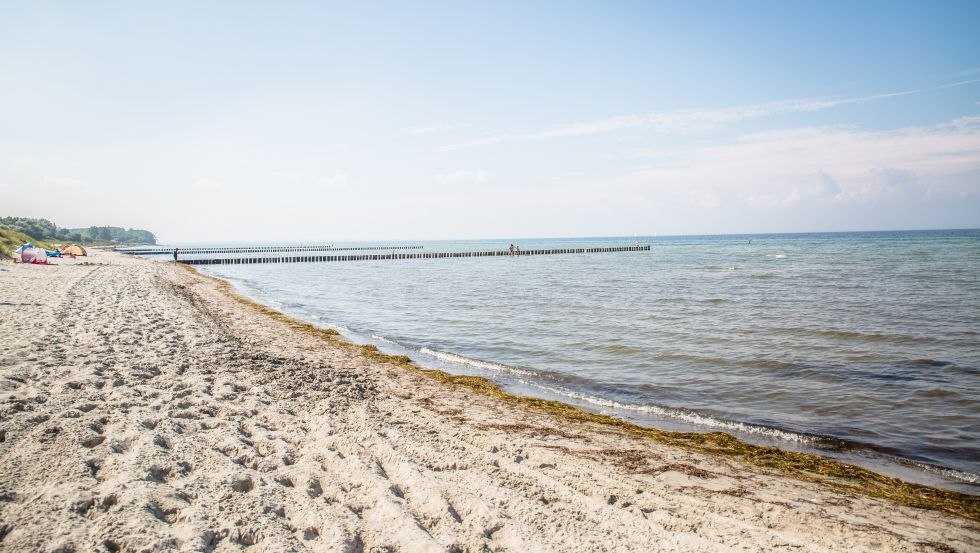 Ideal surfing and kite conditions on the island of Poel, © Liene Photografie Nadine Sorgenfried