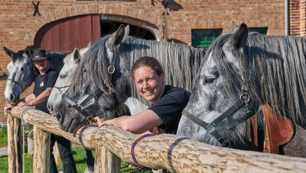 Spanish-Norman Horses in front of the granary at Herian Stud Farm, © Michael Schauenberg