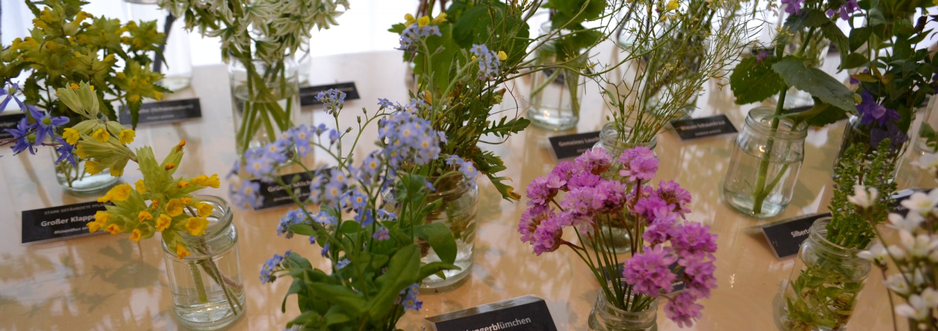 Flower table in local history museum, © Hafen- und Kurbetrieb