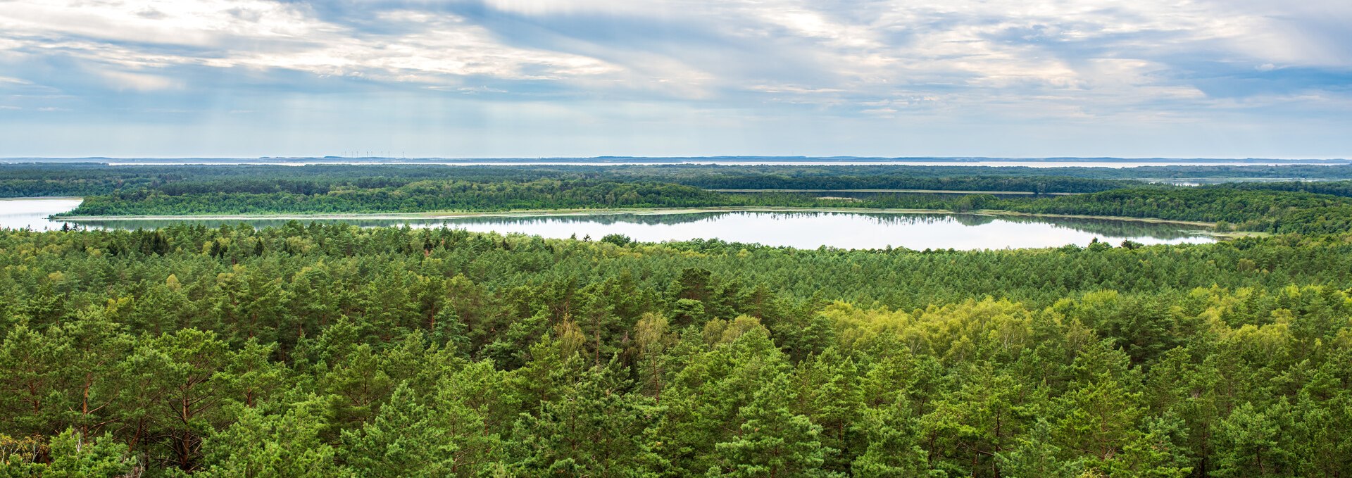 Nature Observation in the Mecklenburg Lake District, © TMV/Tiemann