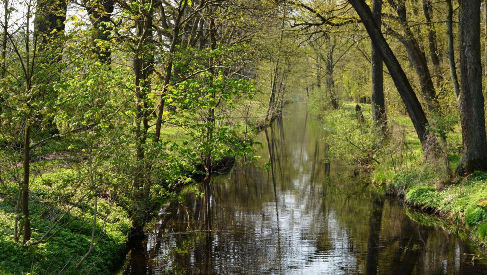 The mysterious nature, has inspired many a legend, © Foto: Tourismusverband Mecklenburg-Schwerin