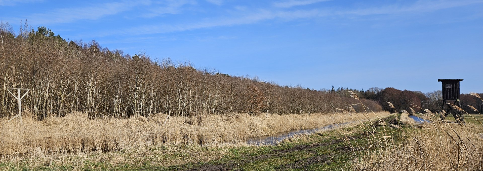 Trees have been growing in the Damerow climate forest (Island of Usedom) since 2009, © Landesforst MV