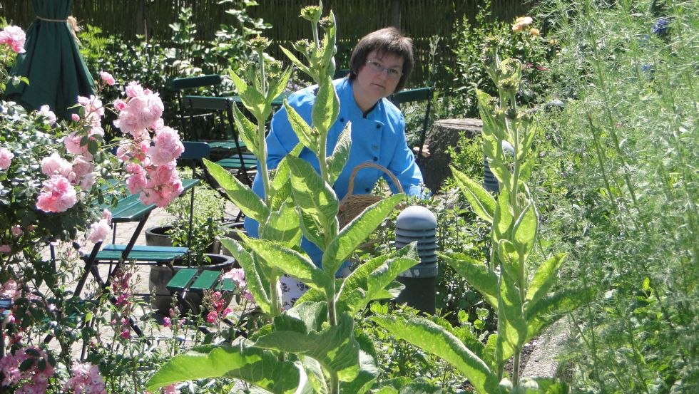 The in-house wild herb and cottage garden with its historical and almost forgotten vegetables and herbs, © De oll Dörpschaul/Alm-Linke