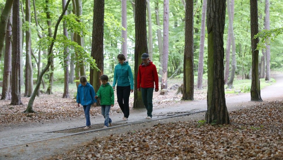 Without shoes you walk on the barefoot path over different natural materials like wood, stones and pine cones., © TMV/outdoor-visions.com