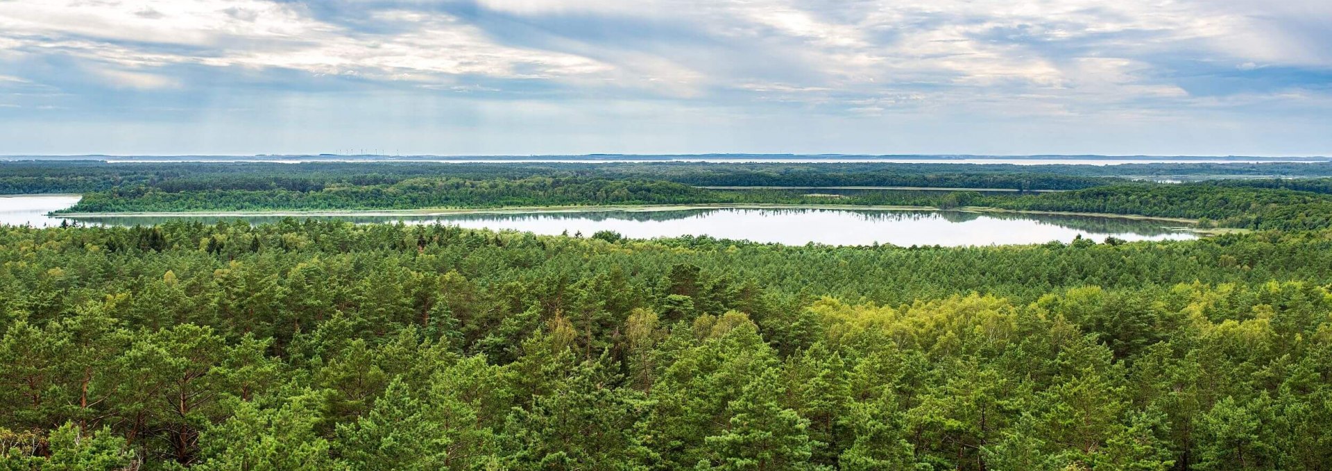 Nature observation in the Mecklenburg Lake District, © TMV/Tiemann