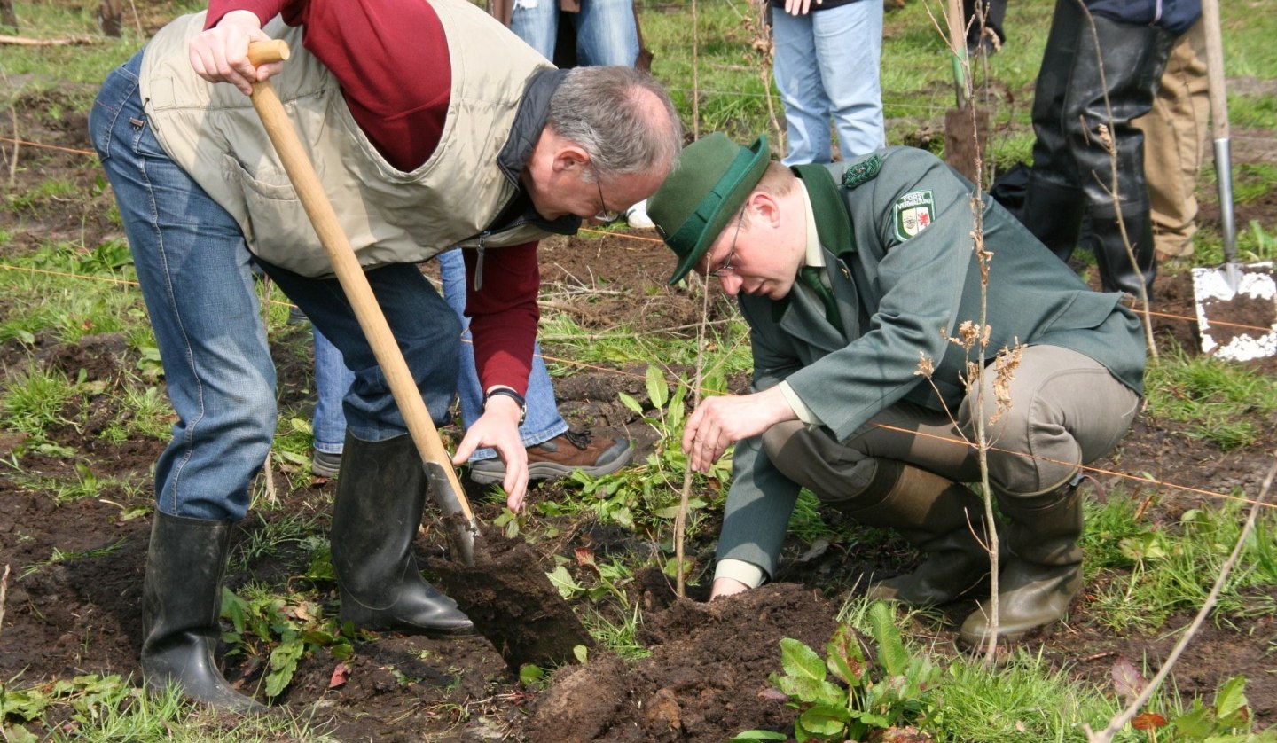 Planting campaign, © TMV