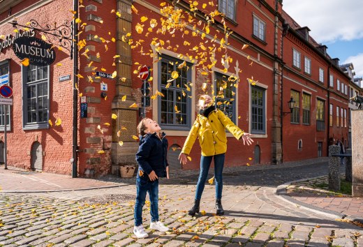 in Wismar it rains colorful leaves, © TMV/Tiemann