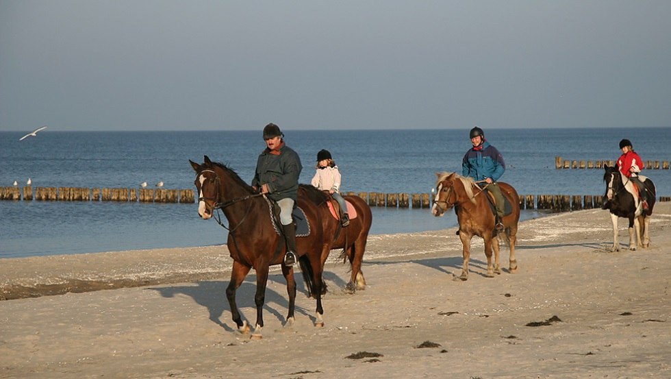 With the riding and vacation farm Illner you can experience beach rides, © Reit- und Feriencamp Illner/ Siegfried Illner