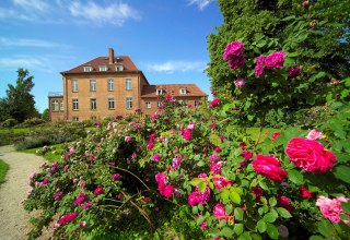 Gottin Rose Park with over 2,000 roses in more than 200 varieties, © Gutshaus Gottin