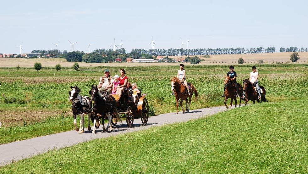 At the Thomsen farm in Groß Kordshagen you can go horseback riding and carriage driving., © Hof Thomsen