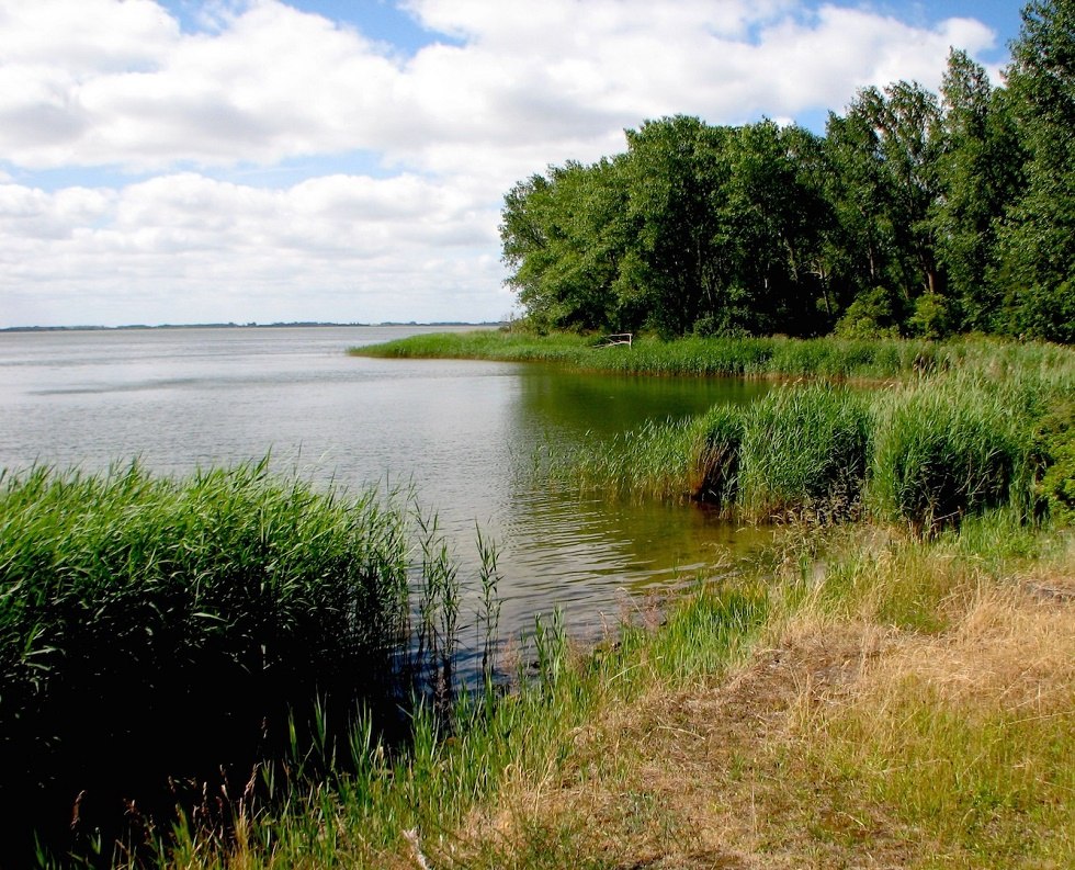 The "bow" from the Bodden side., © Tourismuszentrale Rügen