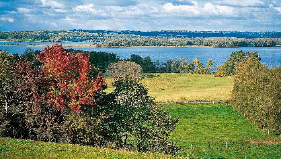 Wooded hills, picturesque lakes - on golden autumn days, the Feldberg lake landscape exudes an unmistakable charm, © TMV/Grundner