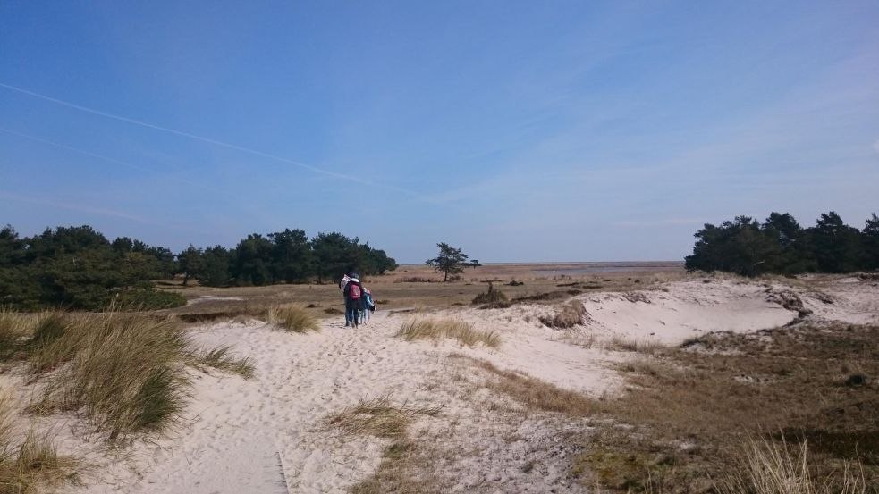 Dunes at Darßer Ort, © TMV/UB