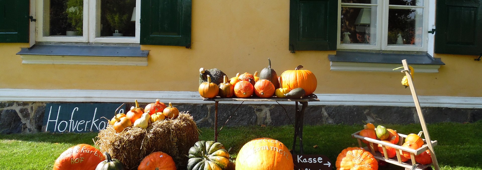 Known and unknown pumpkin varieties are grown in the manor house Behrenshagen, © Britta Siebenbürgen