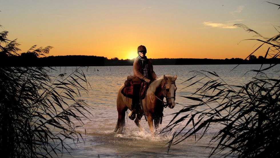 With the Fennhof in the extreme northeast of Germany experience the adventure riding very closely and intensively, © Fennhof/ Hafermalz