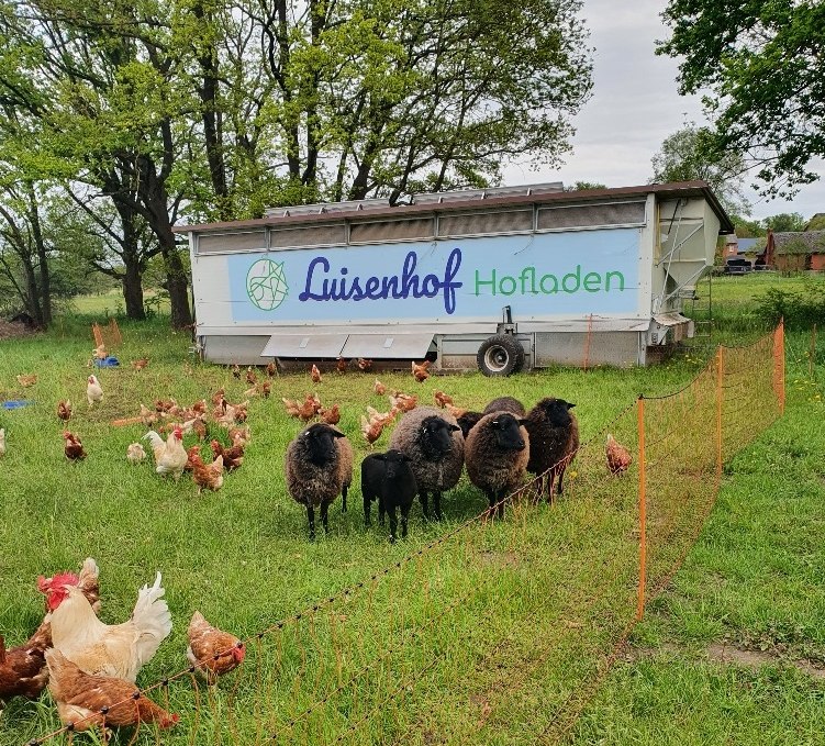 Chickens, sheep, farm store and much more at Luisenhof Wiebendorf, © Luisenhof GmbH